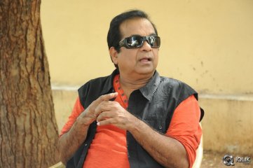 Brahmanandam About Alludu Seenu Movie